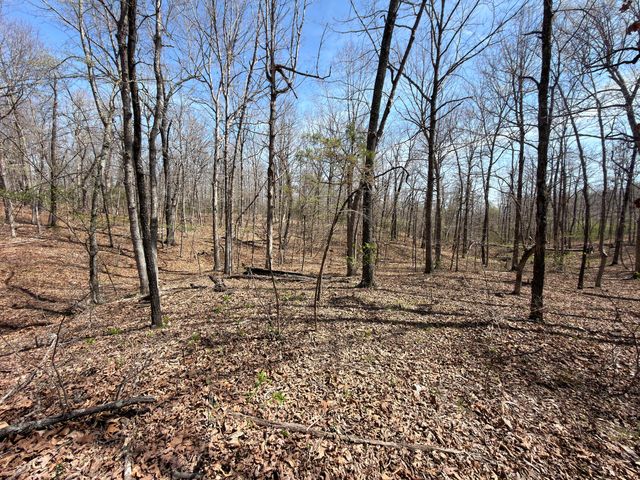 2731 County Road 250, Thayer, MO 65791