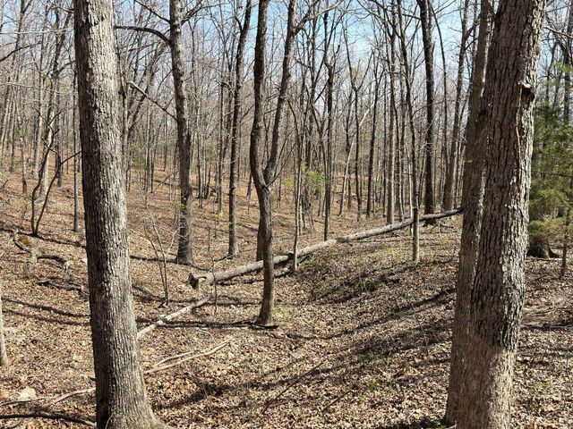 2731 County Road 250, Thayer, MO 65791