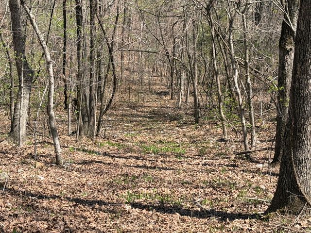 2731 County Road 250, Thayer, MO 65791