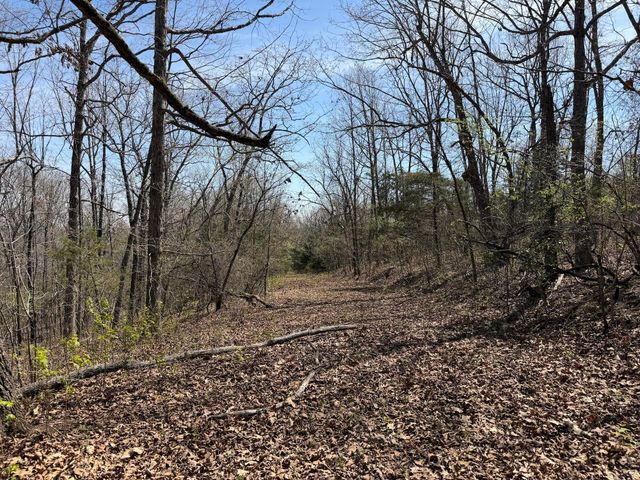 2731 County Road 250, Thayer, MO 65791