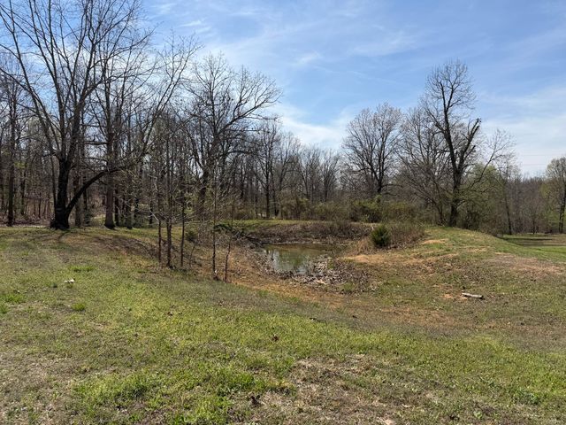 2731 County Road 250, Thayer, MO 65791