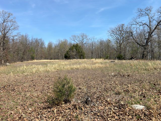 2731 County Road 250, Thayer, MO 65791
