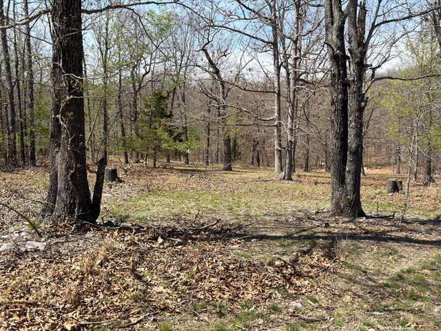 2731 County Road 250, Thayer, MO 65791