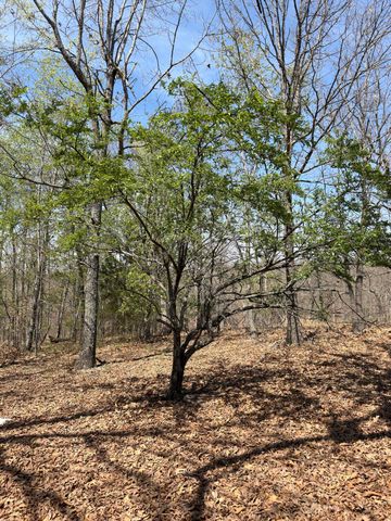 2731 County Road 250, Thayer, MO 65791