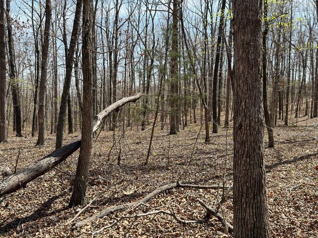 2731 County Road 250, Thayer, MO 65791