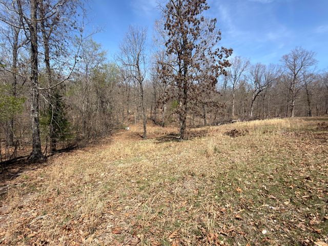 2731 County Road 250, Thayer, MO 65791