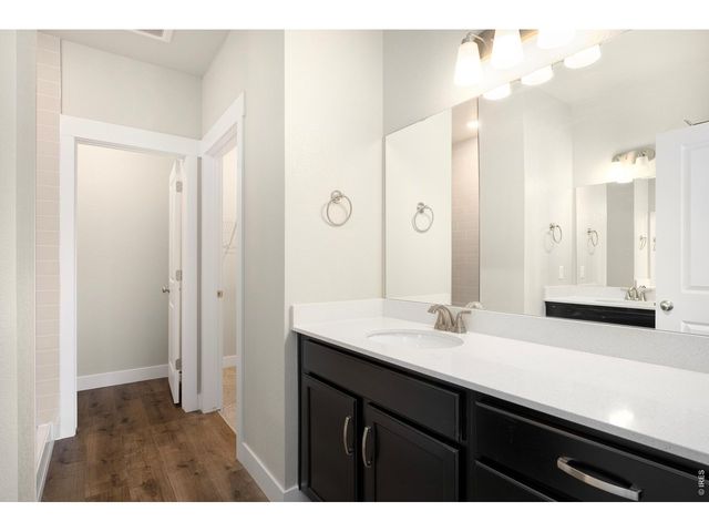 6793 Maple Leaf Dr 201, Timnath, CO 80547