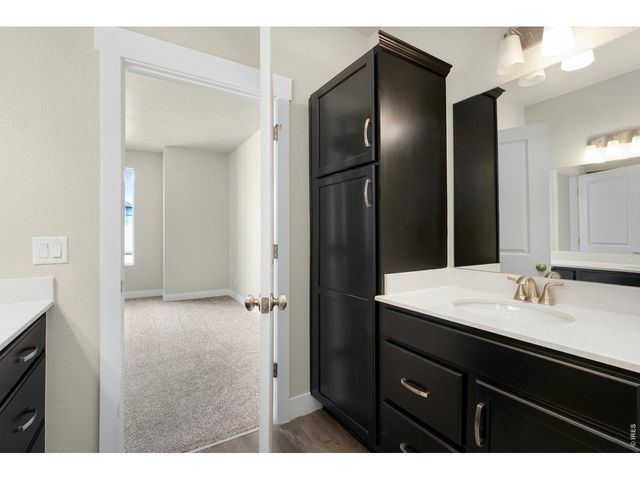 6793 Maple Leaf Dr 201, Timnath, CO 80547