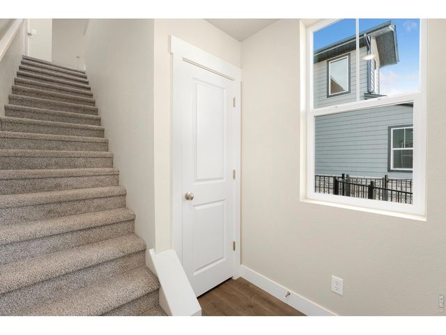 6793 Maple Leaf Dr 201, Timnath, CO 80547