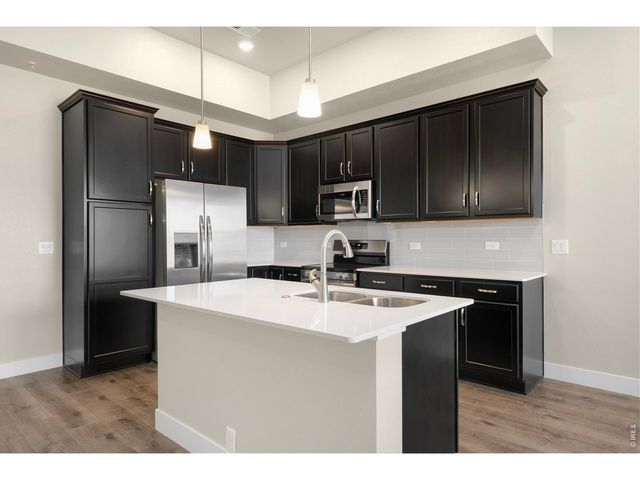 6793 Maple Leaf Dr 201, Timnath, CO 80547