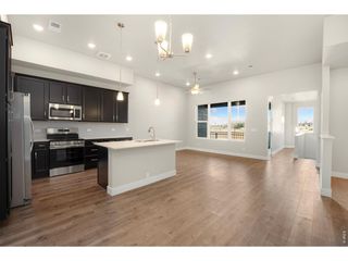 6793 Maple Leaf Dr 201, Timnath, CO 80547