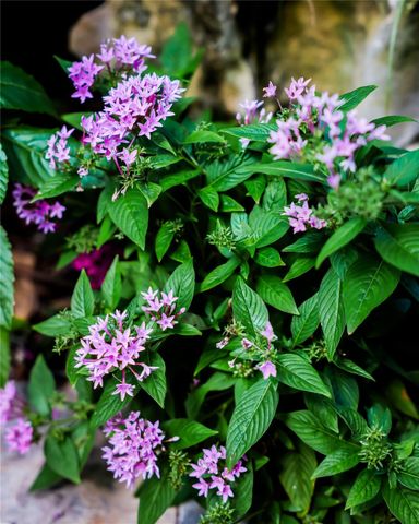 3301 SE 12th Street, Pompano Beach, FL 33062