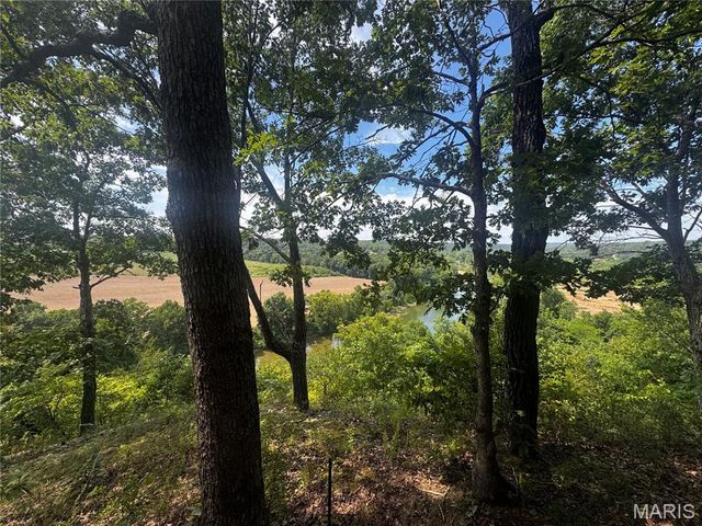 22295 Rhyme Lane, Waynesville, MO 65583