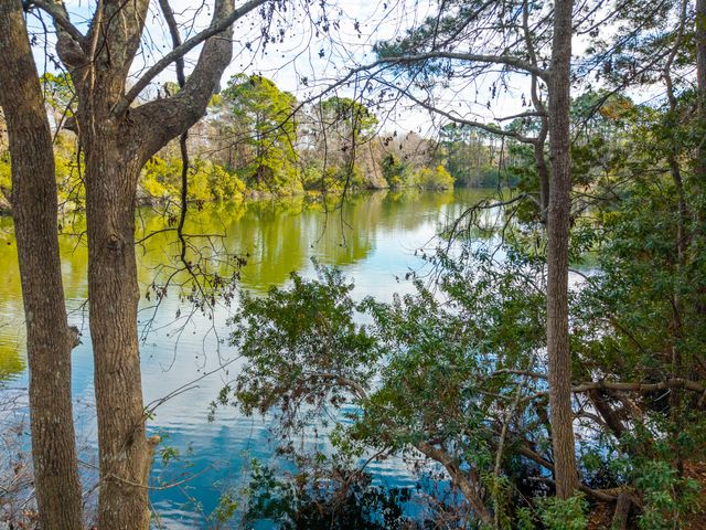 109 Jakes Lane, Mount Pleasant, SC 29464