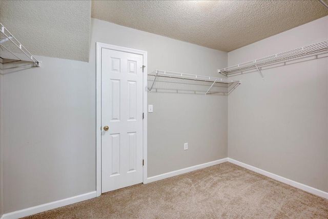 325 Hazelnut Drive, Grovetown, GA 30813