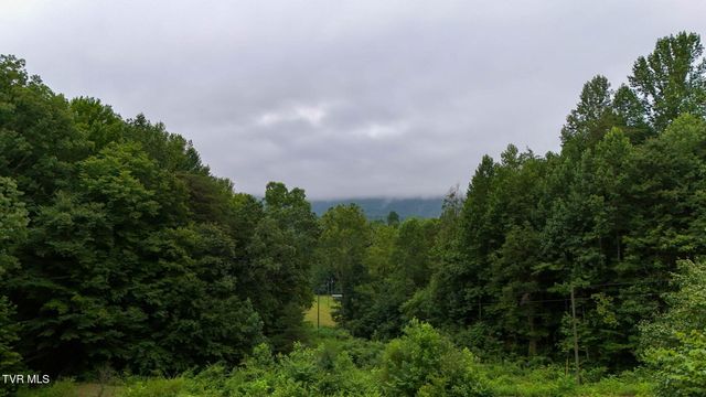 172 Harris Hollow Road, Rogersville, TN 37857