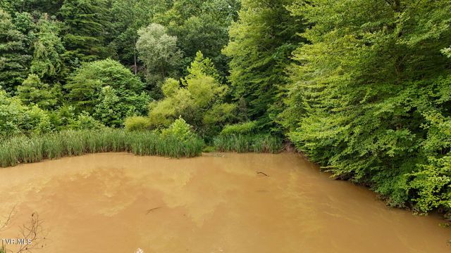 172 Harris Hollow Road, Rogersville, TN 37857