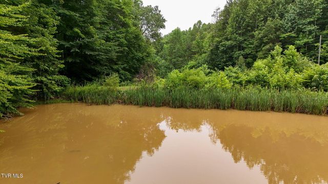 172 Harris Hollow Road, Rogersville, TN 37857