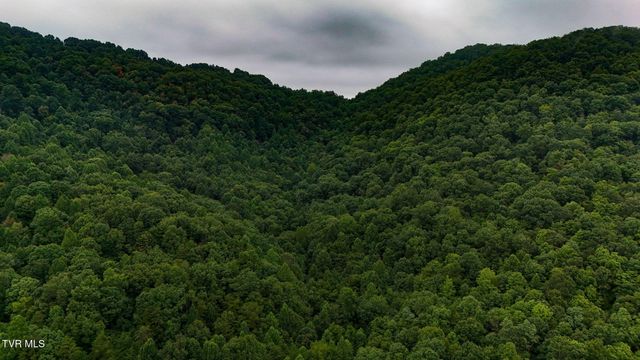 172 Harris Hollow Road, Rogersville, TN 37857
