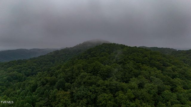 172 Harris Hollow Road, Rogersville, TN 37857