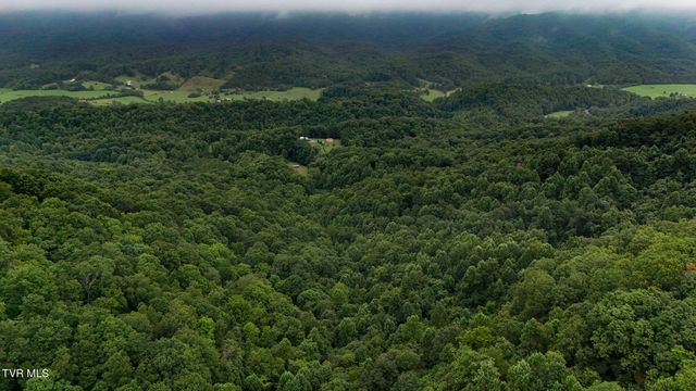 172 Harris Hollow Road, Rogersville, TN 37857