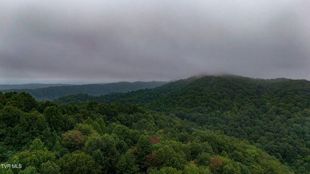 172 Harris Hollow Road, Rogersville, TN 37857