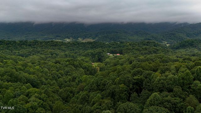 172 Harris Hollow Road, Rogersville, TN 37857