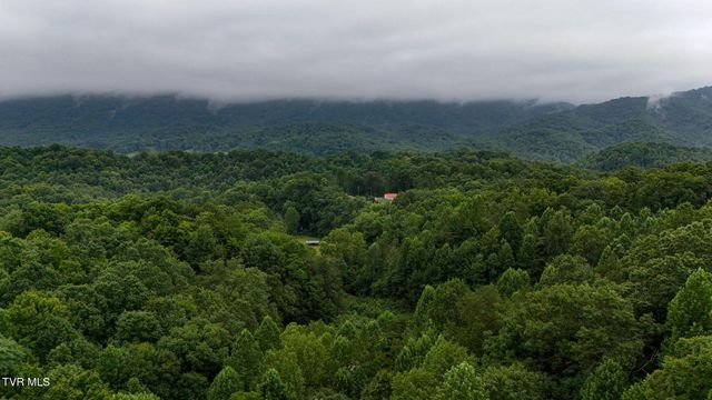 172 Harris Hollow Road, Rogersville, TN 37857