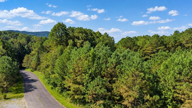 LT 45 Grandview Lane, Ellijay, GA 30536
