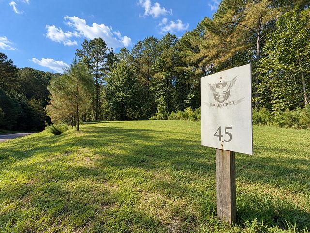 LT 45 Grandview Lane, Ellijay, GA 30536