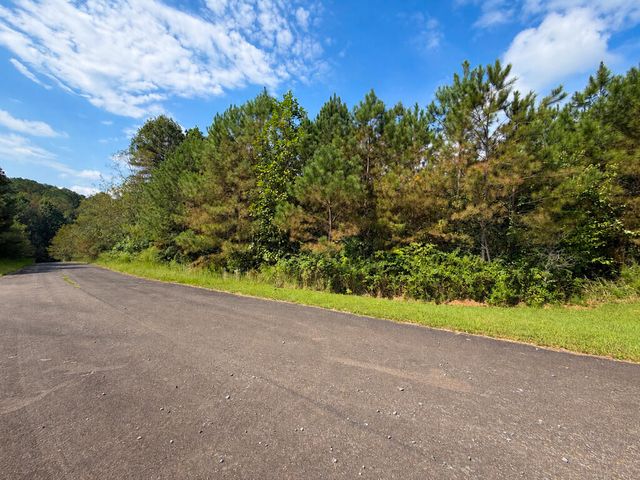 LT 45 Grandview Lane, Ellijay, GA 30536