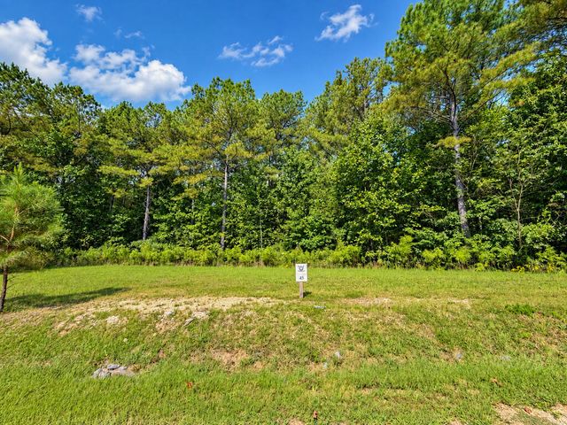 LT 45 Grandview Lane, Ellijay, GA 30536