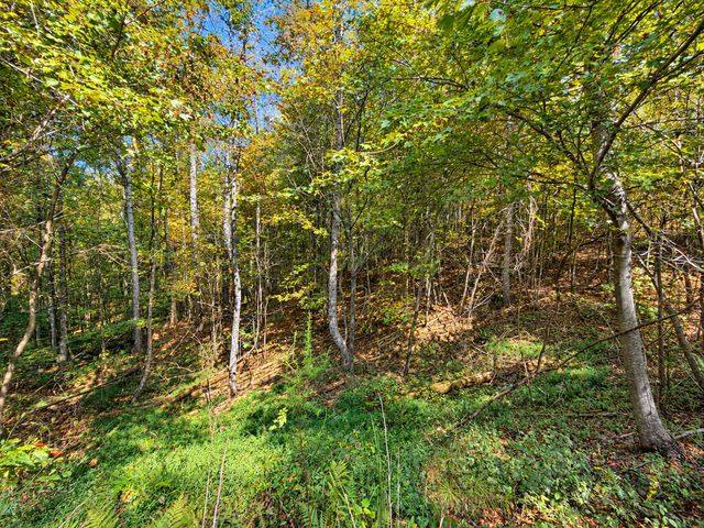 LT 45 Grandview Lane, Ellijay, GA 30536