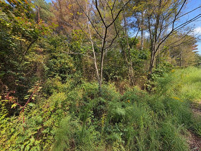 LT 45 Grandview Lane, Ellijay, GA 30536