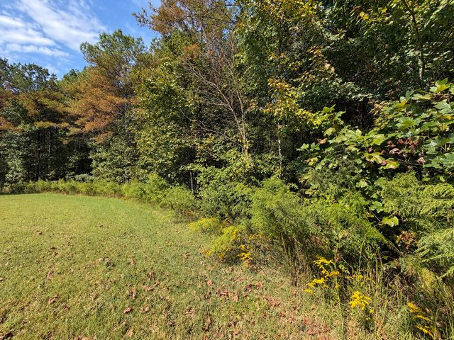 LT 45 Grandview Lane, Ellijay, GA 30536