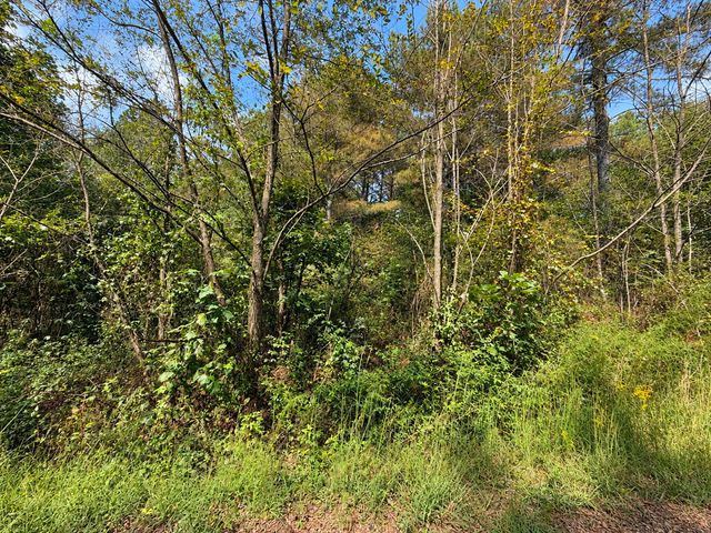 LT 45 Grandview Lane, Ellijay, GA 30536