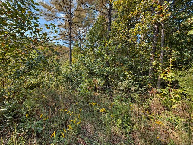 LT 45 Grandview Lane, Ellijay, GA 30536