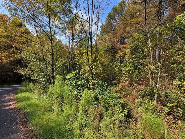 LT 45 Grandview Lane, Ellijay, GA 30536