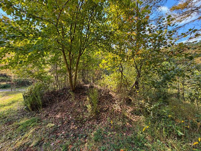 LT 45 Grandview Lane, Ellijay, GA 30536