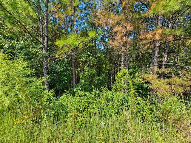 LT 45 Grandview Lane, Ellijay, GA 30536