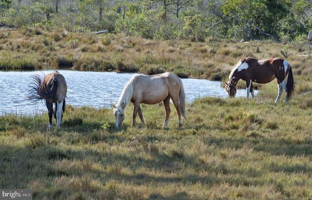 LOT 2473 BOUNTY CT, Greenbackville, VA 23356