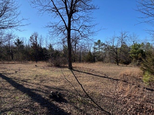 257 Marion County 5004, Bruno, AR 72682