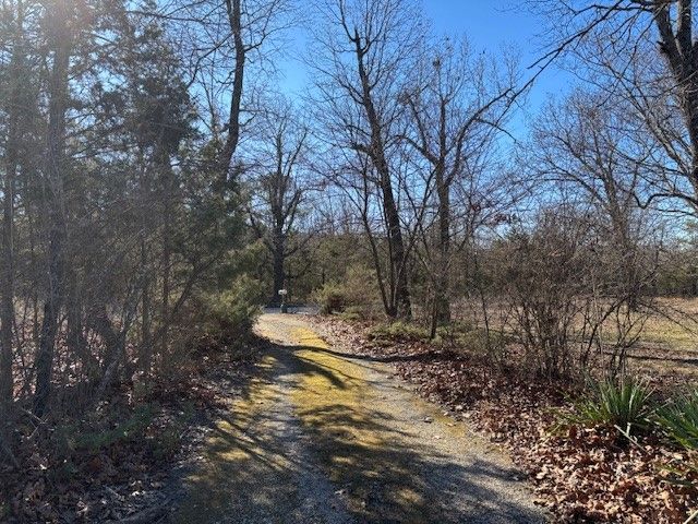 257 Marion County 5004, Bruno, AR 72682