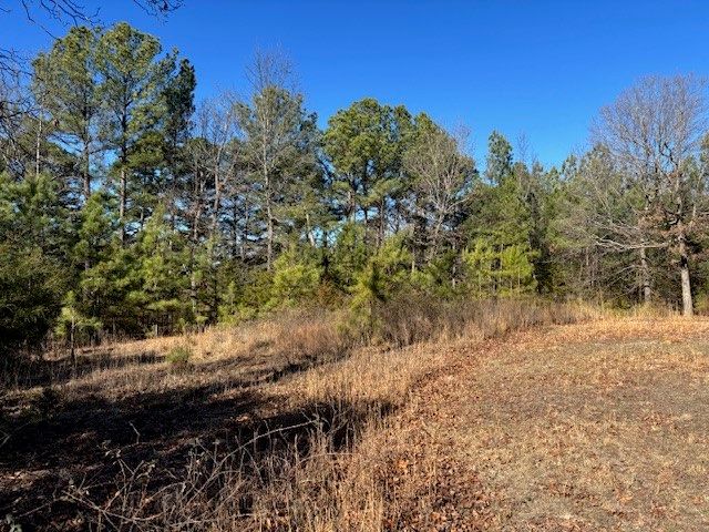 257 Marion County 5004, Bruno, AR 72682