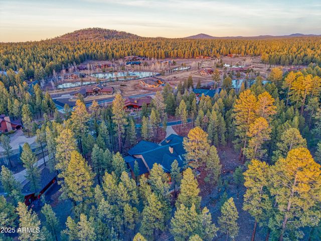 9525 Sierra Springs Drive, Pinetop, AZ 85935
