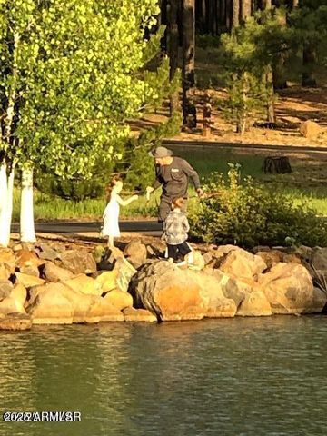 9525 Sierra Springs Drive, Pinetop, AZ 85935