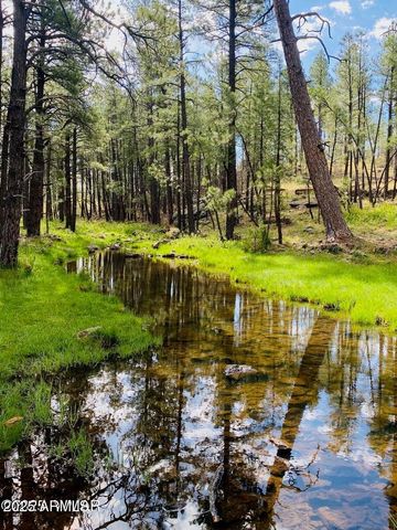 9525 Sierra Springs Drive, Pinetop, AZ 85935