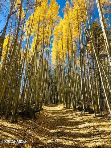 9525 Sierra Springs Drive, Pinetop, AZ 85935