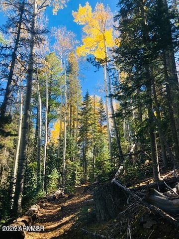 9525 Sierra Springs Drive, Pinetop, AZ 85935