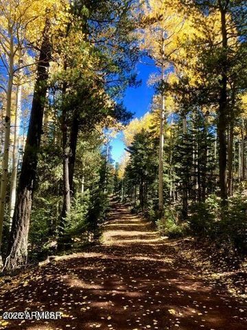 9525 Sierra Springs Drive, Pinetop, AZ 85935